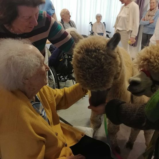 Bild enthält, Adult, Female, Person, Woman, Male, Man, People, Head, Dog, Furniture