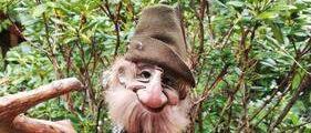 Ein bärtiger, alter Kobold steht in einem üppigen grünen Wald, trägt einen braunen Hut und hält einen Holzzweig.
