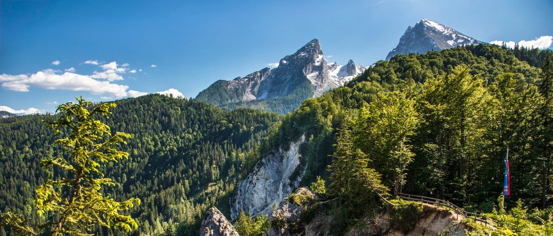 Eine malerische Aussicht auf eine bergige Landschaft mit dichten grünen Wäldern und felsigen Klippen unter einem klaren blauen Himmel.