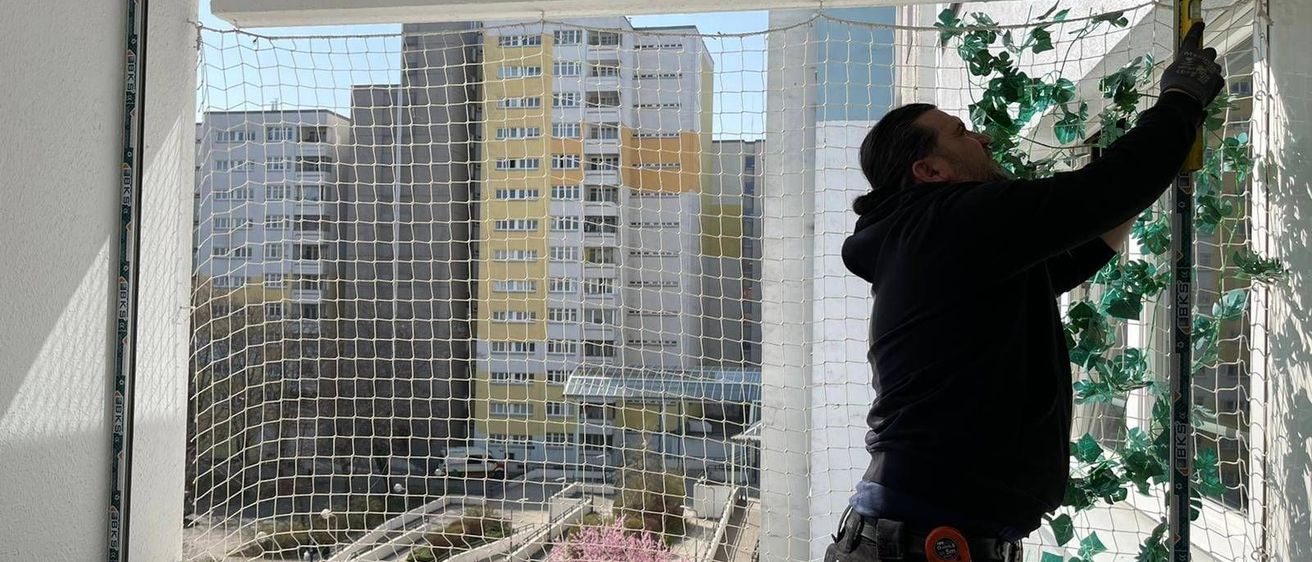 v1_migrated_image_2288481