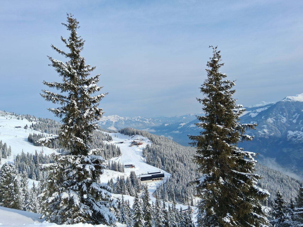 Ein verschneiter Berg mit Kiefern, einem Gebäude und einer Skiliftanlage in der Ferne. Der Boden und die Bäume sind schneebedeckt.