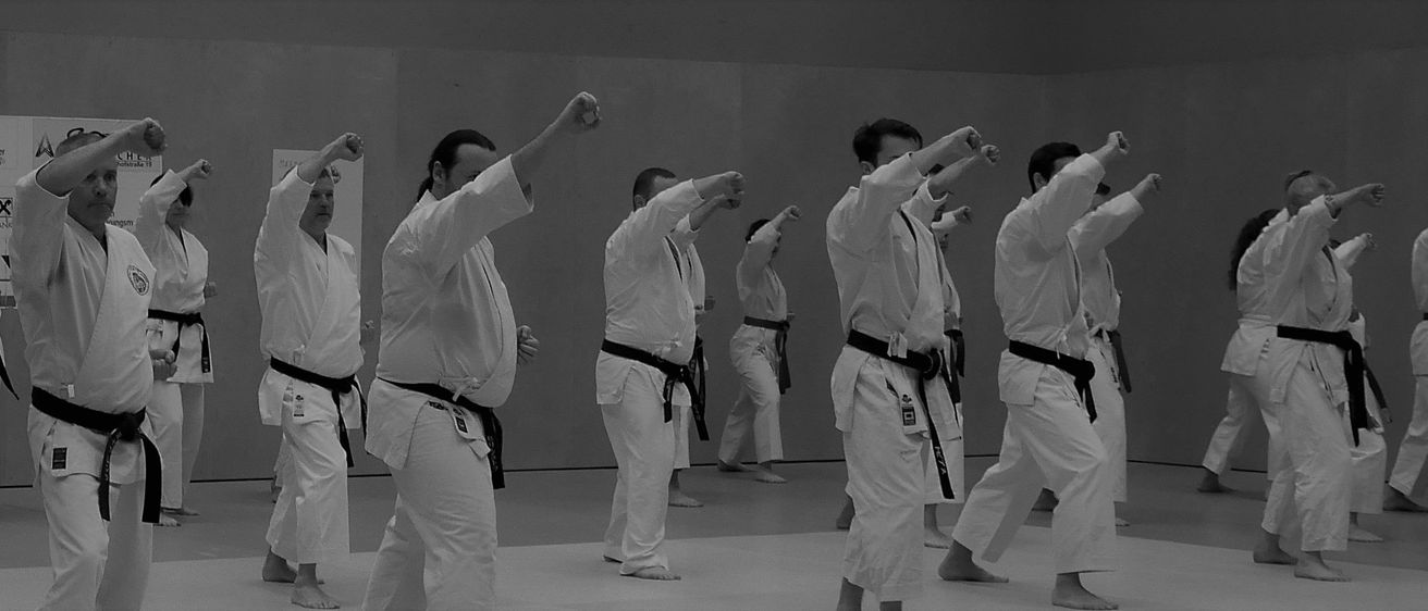 Adult, Male, Man, Person, Karate, Martial Arts, Sport, Judo, People, Face