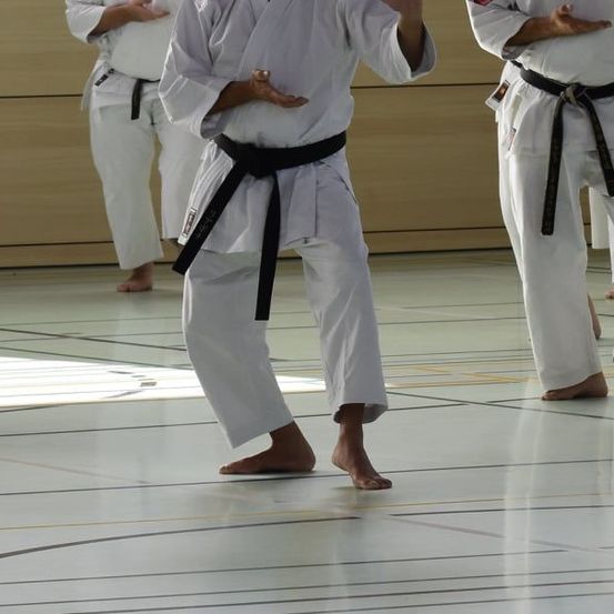 Karate, Martial Arts, Person, Sport, Adult, Male, Man, People