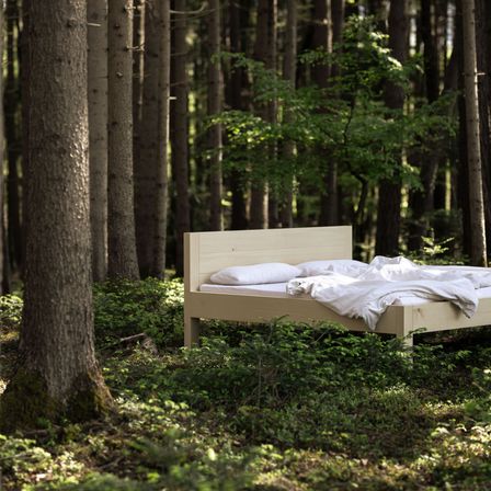 Bild enthält, Plant, Tree, Grove, Land, Vegetation, Woodland, Tree Trunk, Furniture, Bed, Rainforest