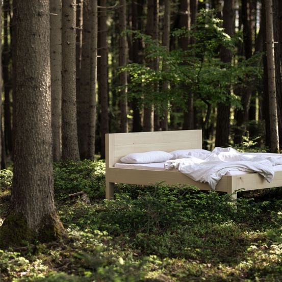 Bild enthält, Plant, Tree, Grove, Land, Vegetation, Woodland, Tree Trunk, Furniture, Bed, Rainforest
