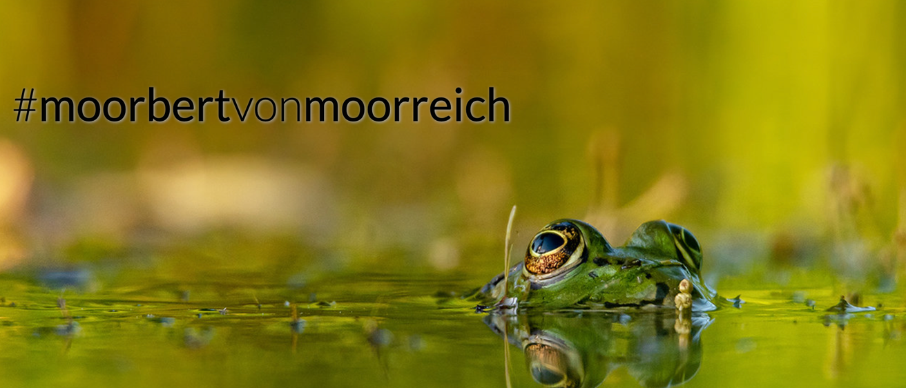 Bildschirmfoto2023-10-12um12.07.34