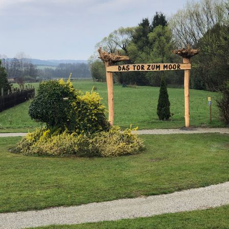 Bild enthält, Grass, Nature, Outdoors, Park, Lawn, Vegetation, Porch, Tree, Garden, Backyard