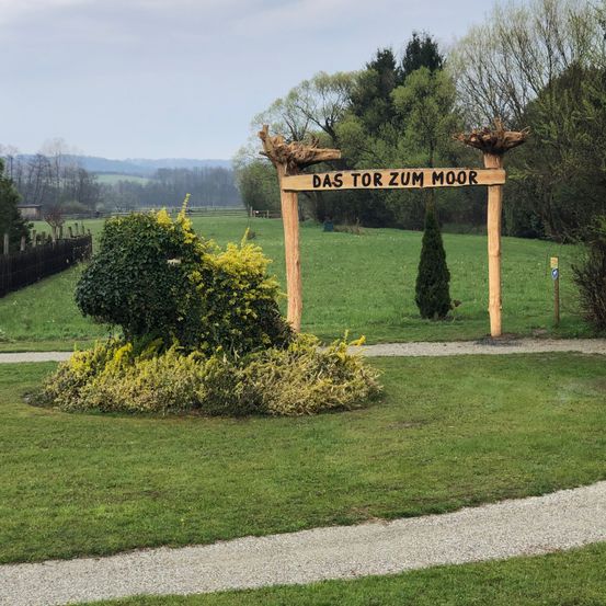 Bild enthält, Grass, Nature, Outdoors, Park, Lawn, Vegetation, Porch, Tree, Garden, Backyard