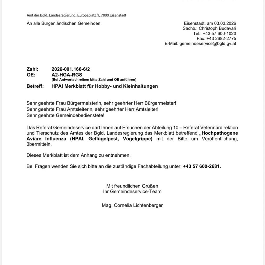 Amtliche Mitteilung des Bezirksamts Eisenstadt. Sie fordert eine Zahlung für HPAI (hochpathogene Vogelgrippe) für Hobby- und Kleinhaltungen. Die Zahlung ist bis zum 03.03.2026 zu leisten. Kontaktinformationen für Rückfragen sind angegeben.