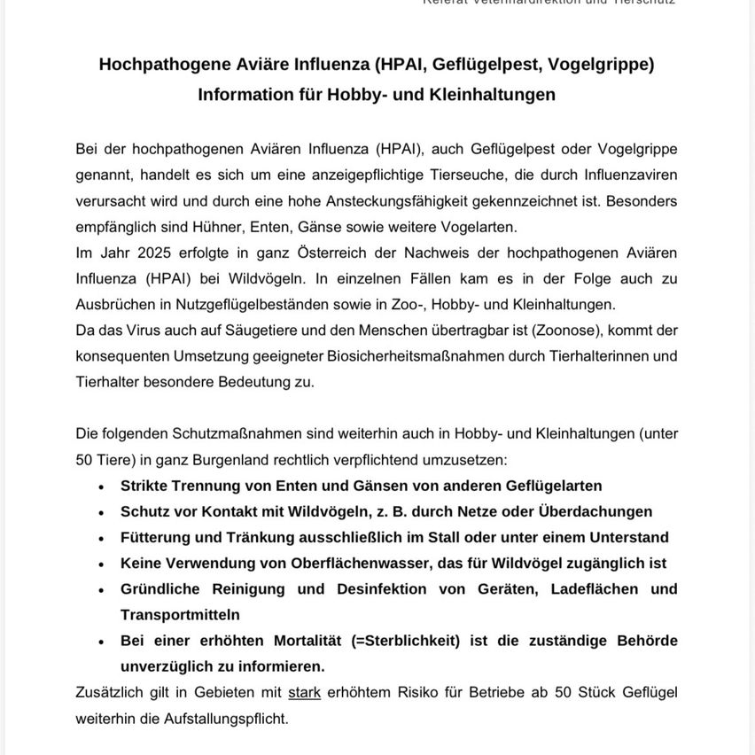 Bei der hochpathogenen Aviären Influenza (HPAI), auch Geflügelpest oder Vogelgrippe genannt, handelt es sich um eine anzeigepflichtige Tierseuche, die durch Influenzaviren verursacht wird und durch eine hohe Ansteckungsfähigkeit gekennzeichnet ist. Besonders empfohlen sind Hühner, Enten, Gänse sowie weitere Vogelarten. Im Jahr 2025 erfolgte in ganz Österreich der Nachweis der hochpathogenen Aviären Influenza (HPAI) bei Wildvögeln. In einzelnen Fällen kam es in der Folge auch zu Ausbrüchen in Nutzgeflügelbeständen sowie in Zoo-, Hobby- und Kleinhaltungen.