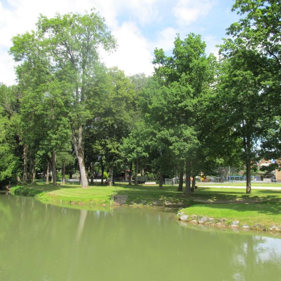 Nature, Outdoors, Scenery, Pond, Water, Grass, Park, Person, Tree, Car