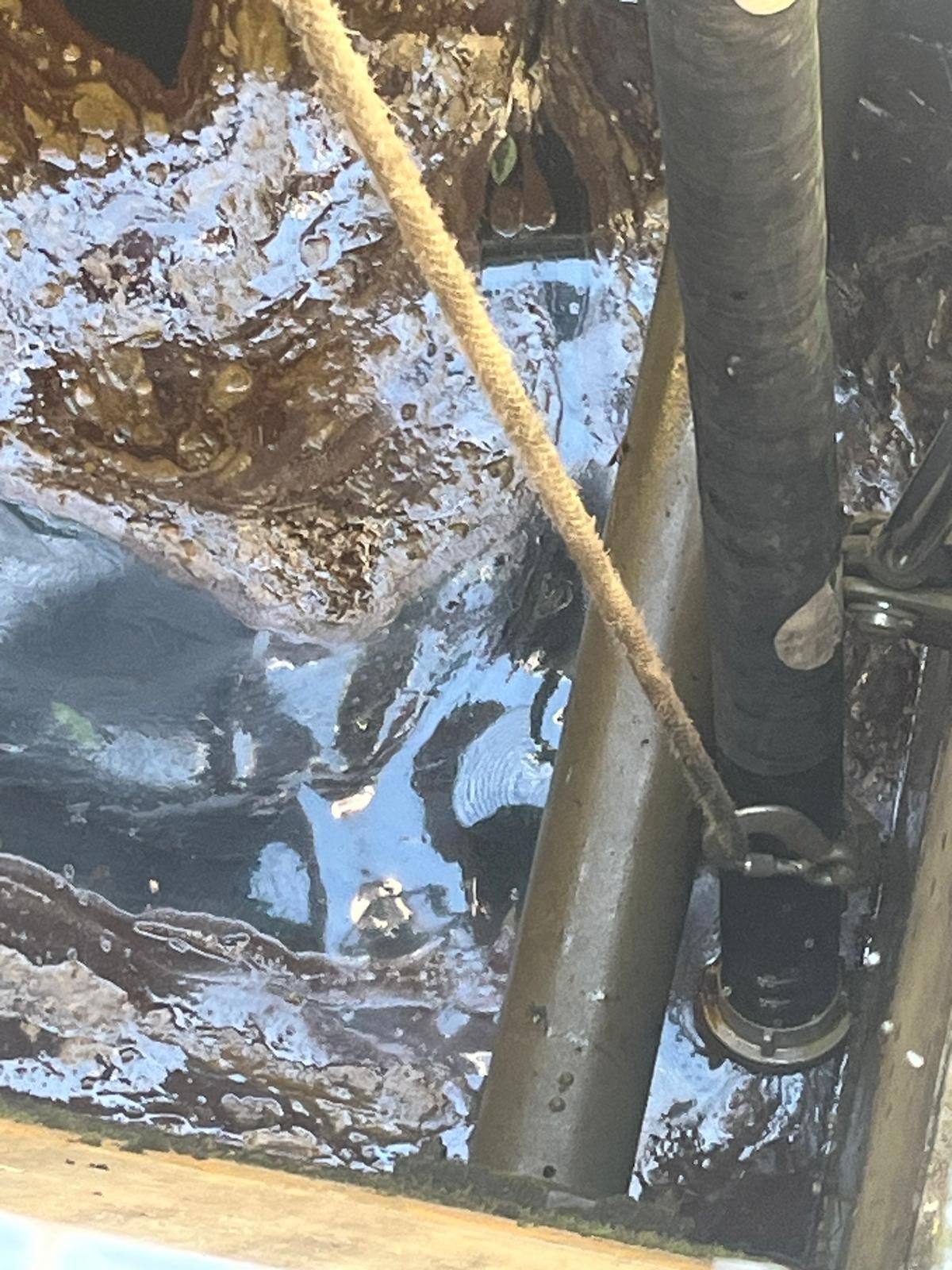 Eine Nahaufnahme eines schlammigen Gewässers mit einem Seil und einem Metallrohr, das darin eingetaucht ist. Das Wasser erscheint trüb mit sichtbaren Ablagerungen.