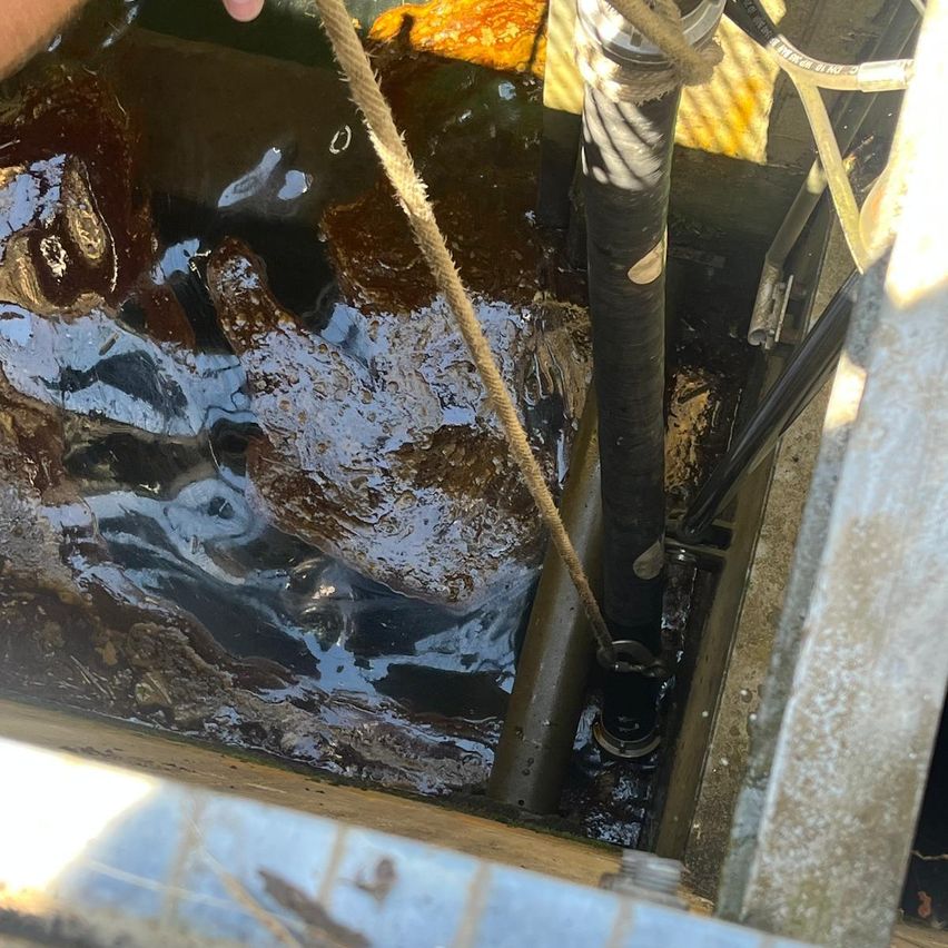 Ein Blick von oben zeigt ein versenktes Rohr mit einem befestigten Seil, das in trübem Wasser schwimmt. Das Wasser ist stehend, mit sichtbaren Ablagerungen und Algen.