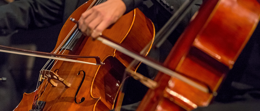 Eine Person spielt ein Cello mit einem Bogen in einem schwach beleuchteten Raum und konzentriert sich auf das Instrument. Das Cello ist groß mit einem dunkelbraunen Korpus und einem goldenen F-Loch.