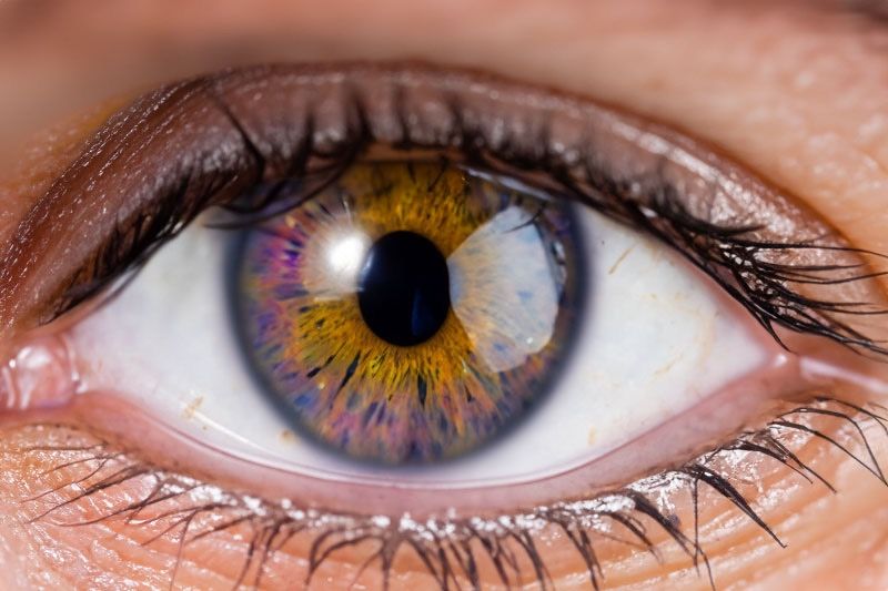 Bild enthält, Contact Lens, Person