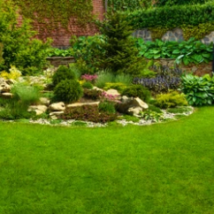 v1_migrated_image_78389252