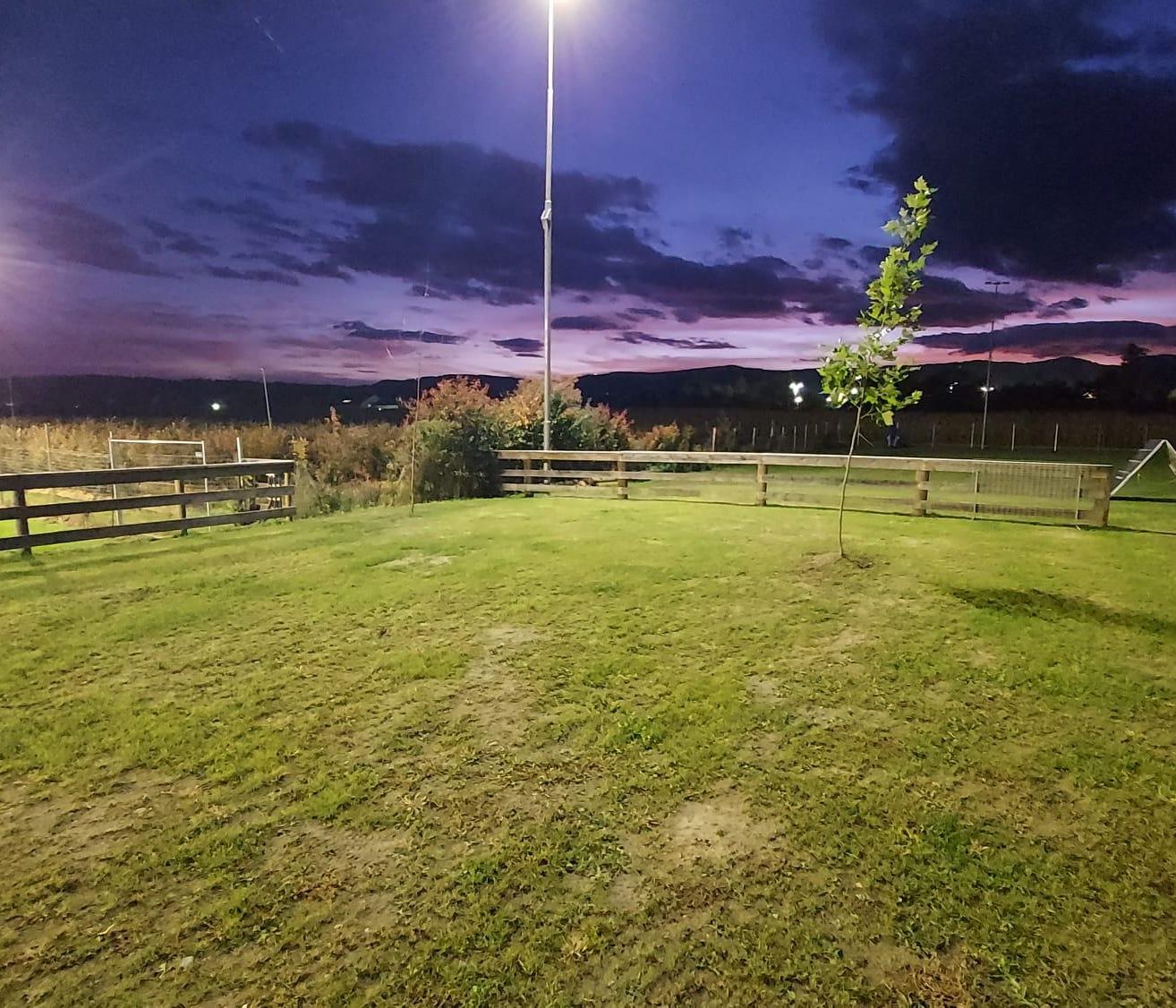 Ein grasbewachsenes Feld bei Nacht mit einem Holzzaun, einer Straßenlaterne und einem kleinen Baum im Vordergrund. Der Himmel ist bewölkt mit Anflügen von Rosa und Orange.