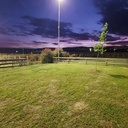 Ein grasbewachsenes Feld bei Nacht mit einem Holzzaun, einer Straßenlaterne und einem kleinen Baum im Vordergrund. Der Himmel ist bewölkt mit Anflügen von Rosa und Orange.