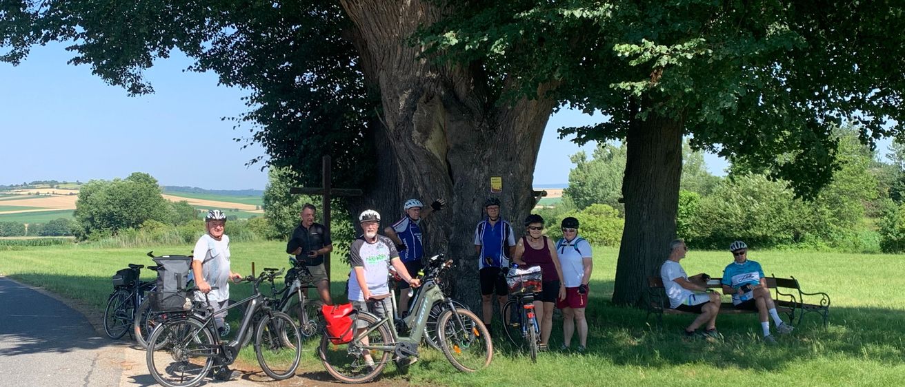 Bild enthält, Grass, Park, Tree, Summer, Vegetation, Tree Trunk, Person, Bicycle, Wheel, People