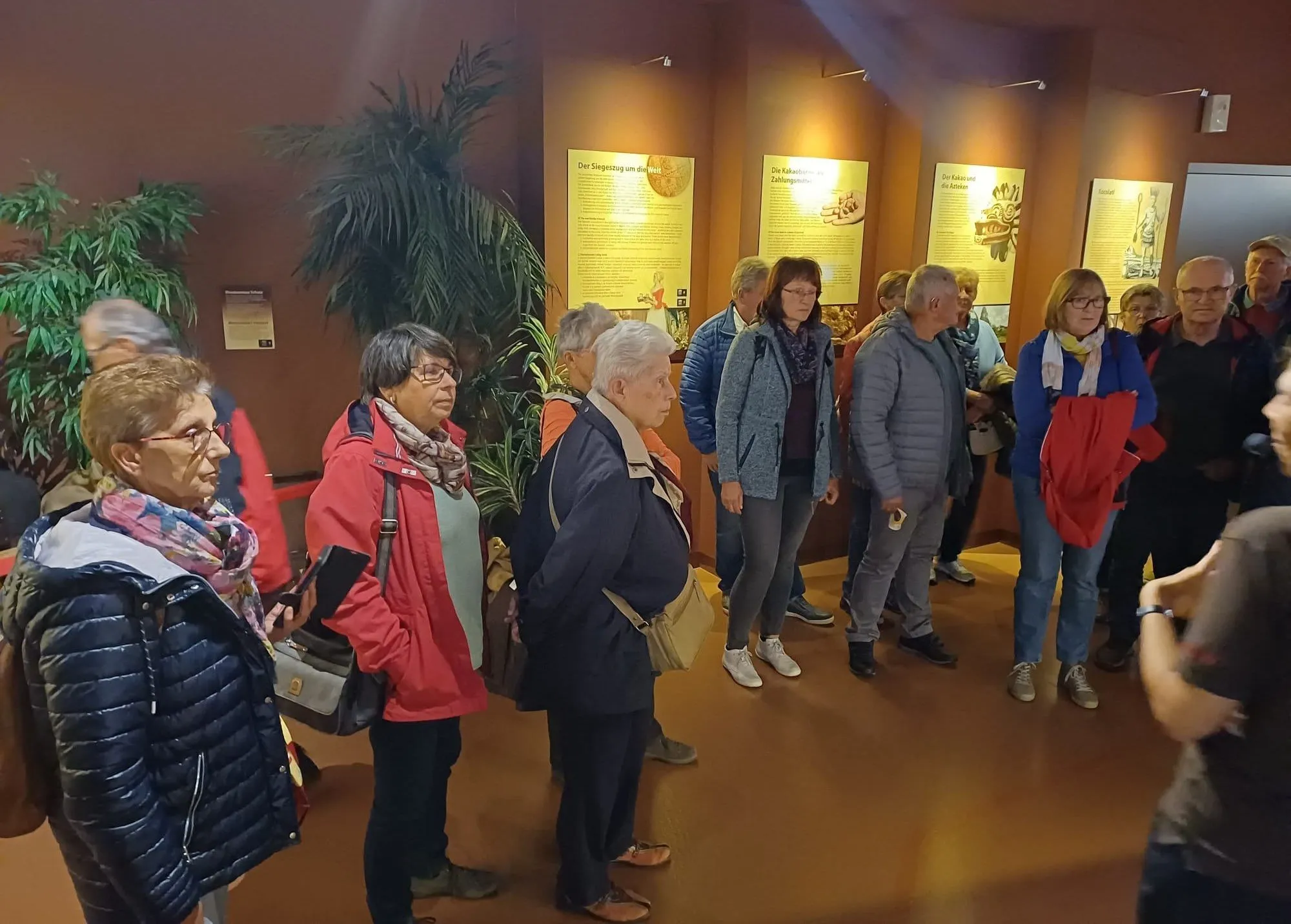 Eine Gruppe älterer Erwachsener steht in einem Museum und betrachtet gelbe Informationstafeln an der Wand und eine Topfpflanze im Hintergrund.