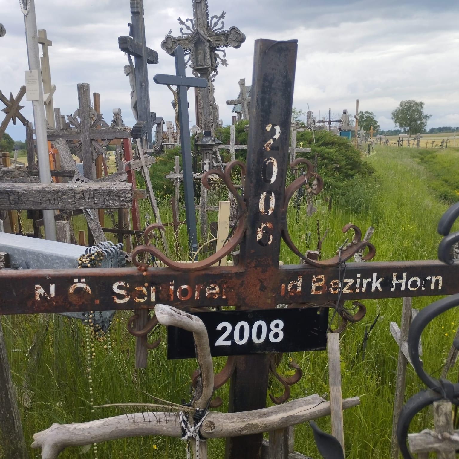 Ein Friedhof mit zahlreichen hölzernen Kreuzen und Markierungen, eines mit der Nummer 2000. Das Gebiet ist von hohem Gras umgeben.