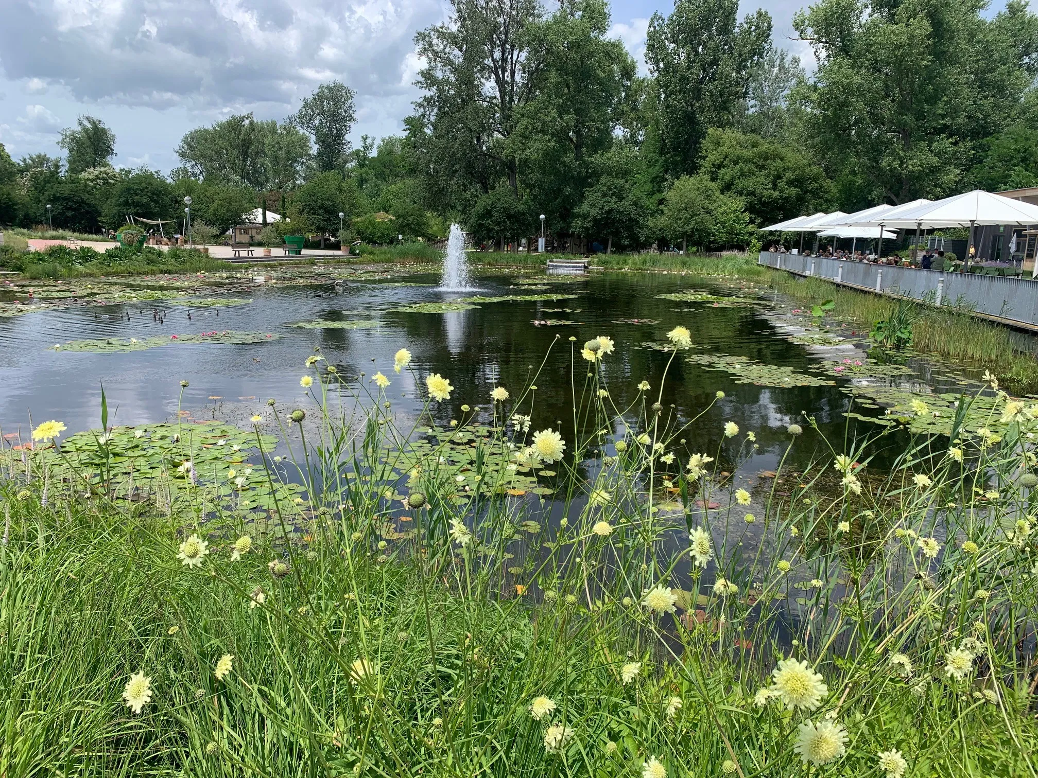Ein ruhiger Teich mit einem Springbrunnen, umgeben von üppigem Grün und gelben Blumen, unter einem bewölkten Himmel.