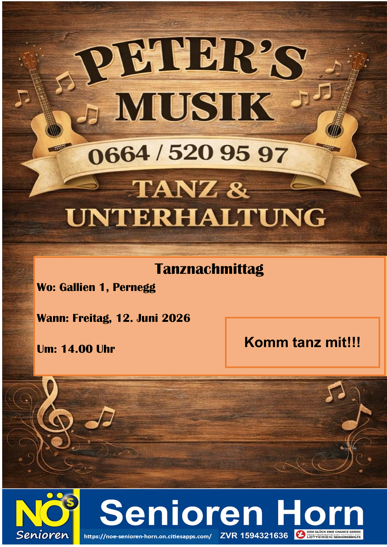 Poster mit Musikthema. Es zeigt zwei Gitarren und Musiknoten. Die Veranstaltung ist eine Tanzparty am Freitag, 12. Juni 2026 um 14 Uhr. Der Ort ist Gallien 1, Pernegg.
