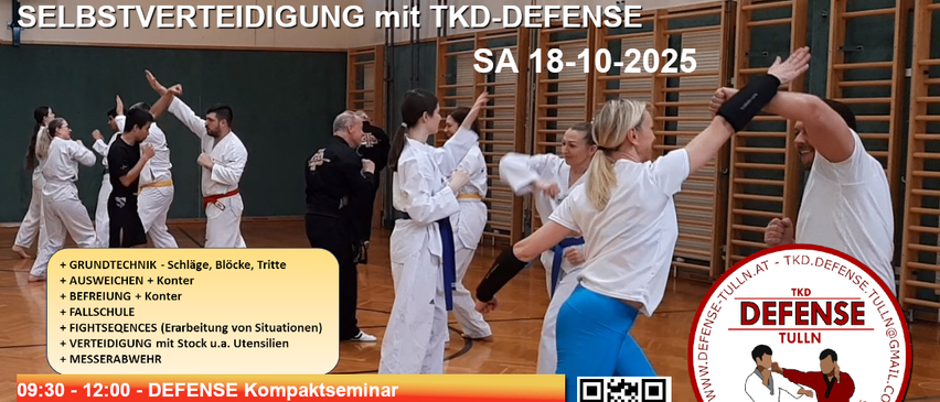 Plakat für ein Selbstverteidigungsseminar mit Tkd-Verteidigung. Datum: Sa, 18.10.2025. Teilnehmer üben Kampfsport in einer Turnhalle. QR-Code unten.