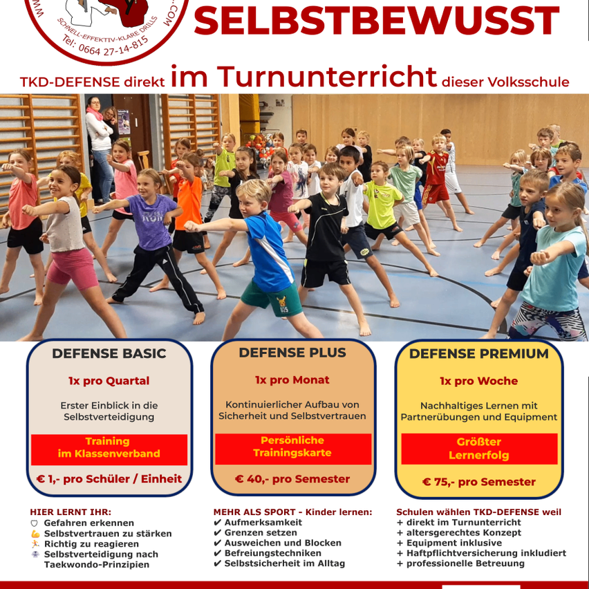 Plakat zeigt Kinder beim Üben von Kampfsportarten mit verschiedenen Trainingsoptionen und aufgeführten Vorteilen. Der obere Bereich enthält ein Logo und Kontaktinformationen.
