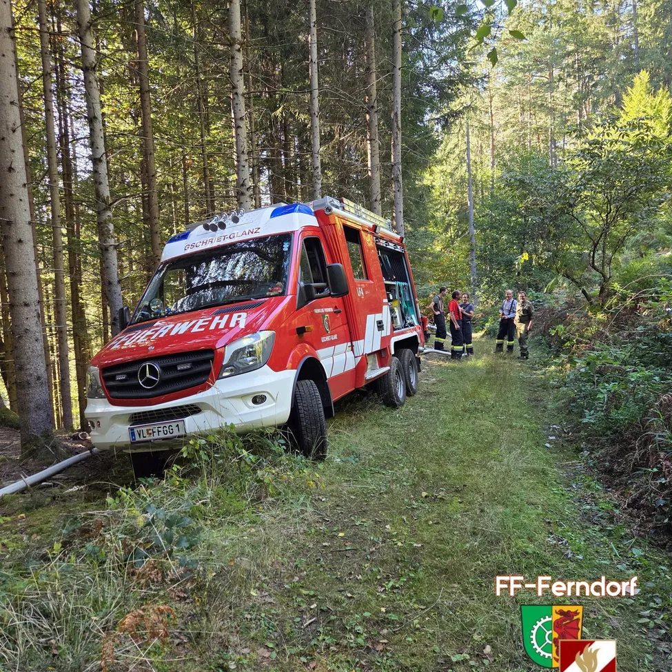 Ein roter Feuerwehrwagen ist im Wald stecken geblieben, Feuerwehrleute in roten Uniformen kümmern sich um die Szene.