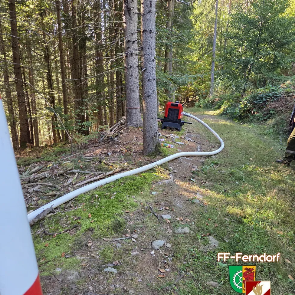 Eine rot-schwarze Maschine ist an einen weißen Schlauch auf einem Waldweg angeschlossen.