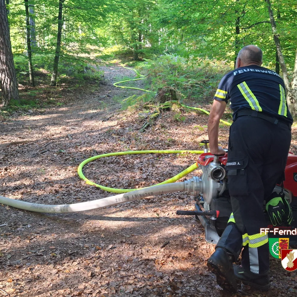 Ein Feuerwehrmann steht im Wald und hält eine Pumpe und einen Schlauch.