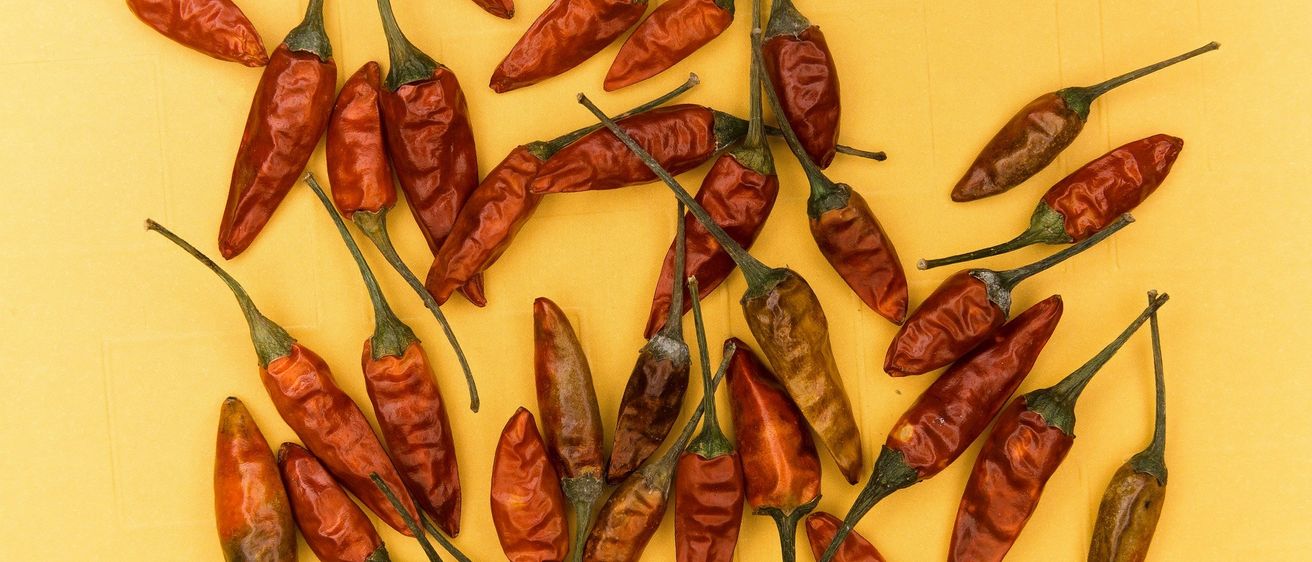 Eine Sammlung getrockneter roter und brauner Chilischoten auf einem hellgelben Hintergrund. Einige sind ganz, während andere aufgeschnitten sind und die Samen im Inneren zeigen.