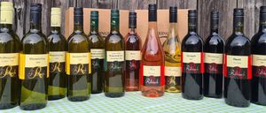 Eine Sammlung von Ribisch-Weinen, die vor einer Holzwand ausgestellt sind. Sie sind in Reihen angeordnet, jede Flasche ist mit ihrer Art und dem Jahrgang beschriftet.