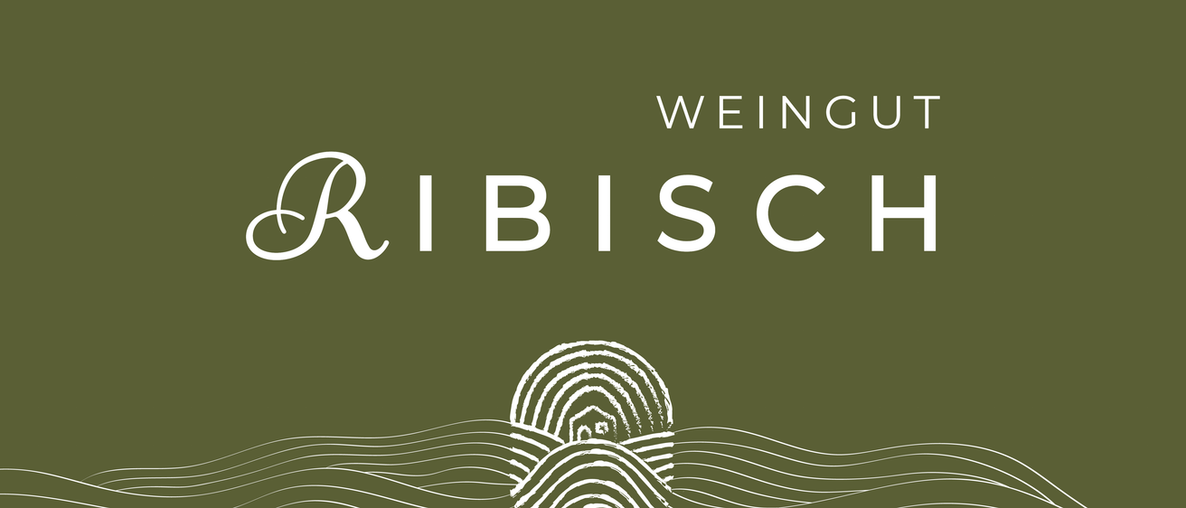 Das Bild zeigt das Logo für 'Weingut Ribisch', ein Weingut. Der Name ist in einer modernen kursiven Schrift geschrieben. Unter dem Namen befindet sich ein stilisierter Fingerabdruck, der möglicherweise die Qualität des Weinguts symbolisiert. Der Hintergrund ist ein Grüngradient, der Weinberge repräsentiert.