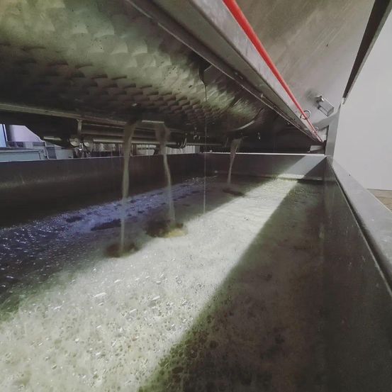 Ein Blick von oben auf einen Edelstahlbehälter zeigt drei Flüssigkeitsströme, die hineinfließen und Blasen bilden.