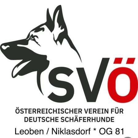 Logo des Osterreichischen Vereins fur Deutsche Schaferhunde. Zeigt einen stilisierten Hundekopf mit dem Text SVO und dem Standort Leoben/Niklasdorf, OG 81.