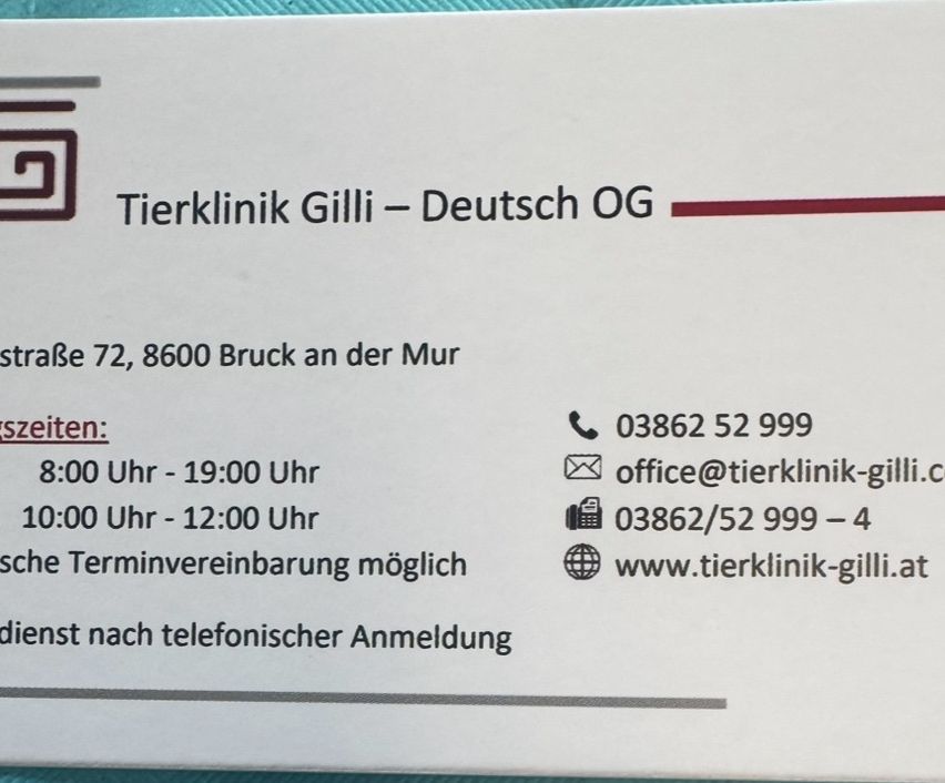 Ein weißes Schild zeigt die Details der Tierklinik Gilli - Deutsch OG. Adresse: Be 72, 8600 Bruck an der Mur. Telefon: 03862 52 999. E-Mail: office@tierklinik-gilli. Webseite: www.tierklinik-gilli. Öffnungszeiten: 00:00-19:00 und 00:00-12:00. Termine können telefonisch vereinbart werden.