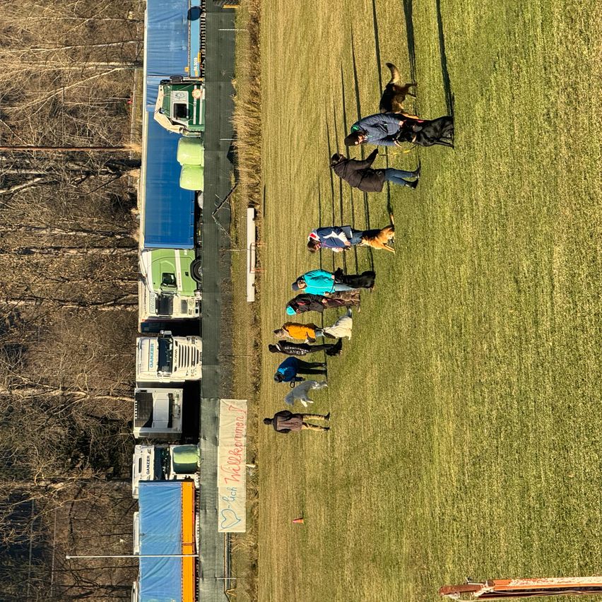 Eine Vogelperspektive auf ein saftiges Feld mit mehreren Personen und ihren Hunden, wahrscheinlich bei einer Hundeveranstaltung, mit geparkten Lastwagen in der Nähe.