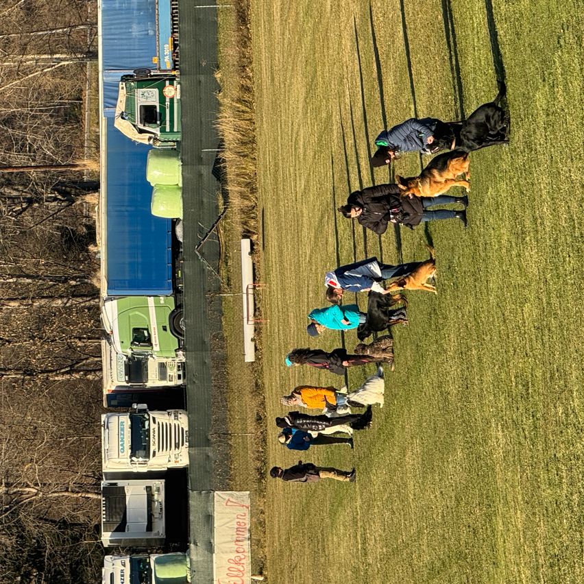Eine Luftaufnahme eines Grasfeldes zeigt mehrere Menschen mit ihren Hunden in einer Reihe, möglicherweise bei einer Hundeveranstaltung. In der Nähe sind mehrere Lastwagen geparkt, und ein Schild mit rotem Text ist am Rande des Feldes sichtbar.