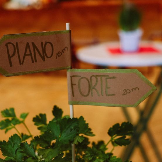 Zwei Schilder auf einer Pflanze zeigen Richtungen an, eines weist auf 'Piano' in 15 Metern Entfernung und das andere auf 'Forte' in 20 Metern Entfernung.