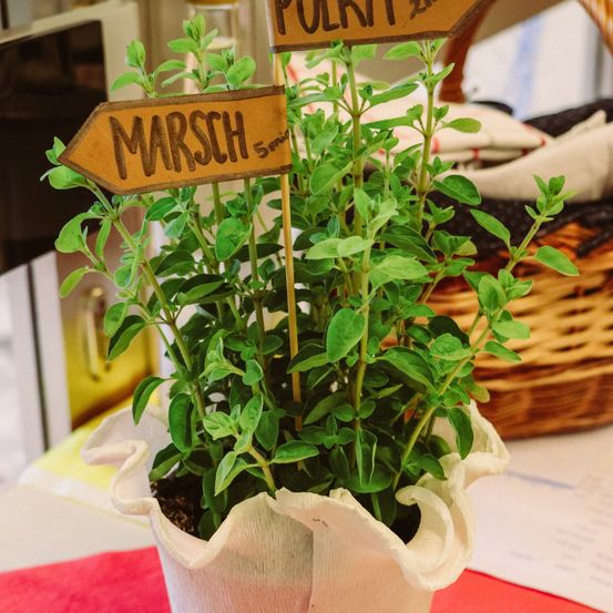 Ein weißer Keramiktopf mit einer grünen Pflanze steht auf einem Tisch. Zwei Holzschilder mit den Worten 'Marsch' und 'Pollry' sind an der Pflanze befestigt.
