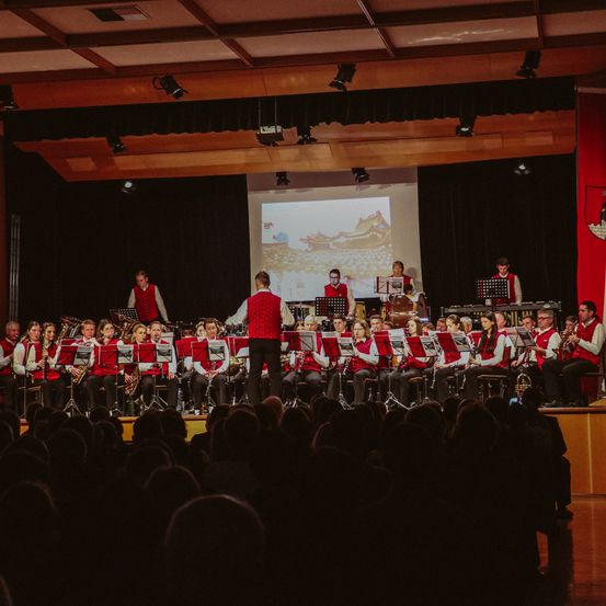 Ein Orchester spielt auf der Bühne, mit einer Leinwand im Hintergrund, und ein Publikum sieht zu.