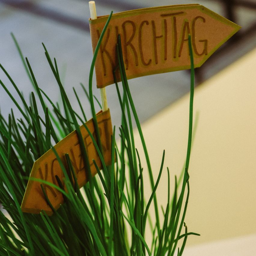 Zwei braune pfeilförmige Schilder mit den Worten 'Kirchtag' und 'Knolen' stecken in grünem Gras.