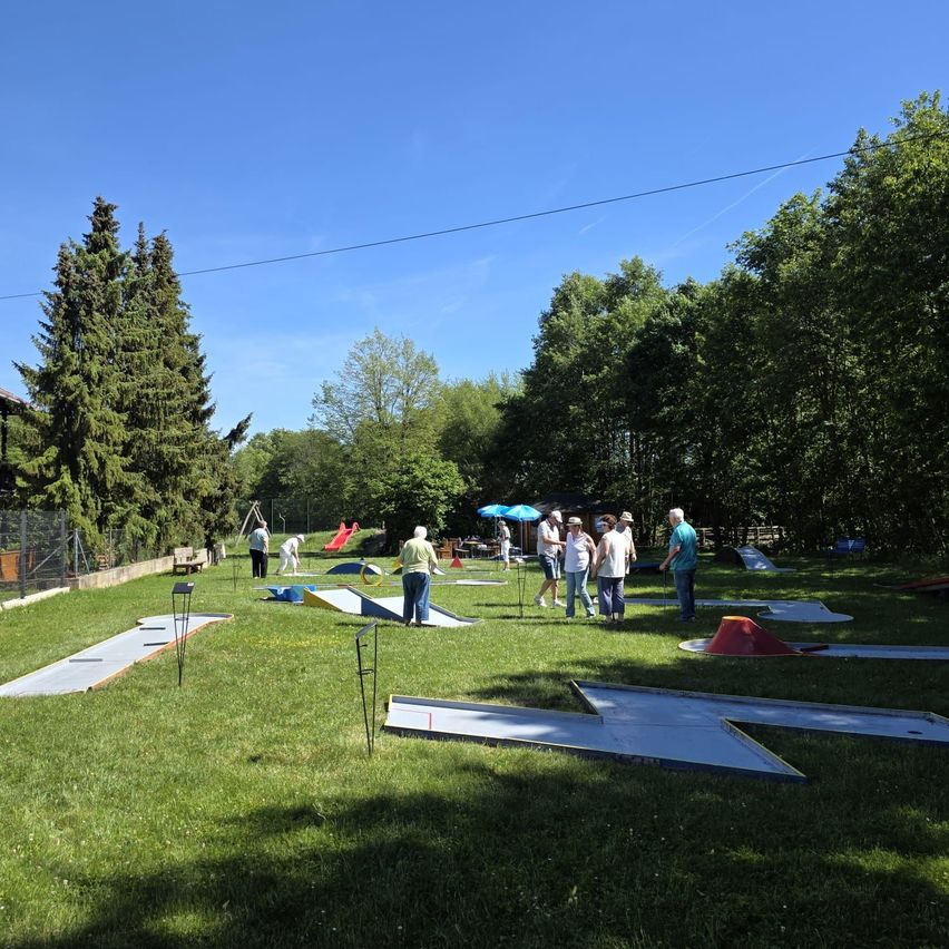 People play miniature golf in a grassy field with trees in the background under a clear sky.