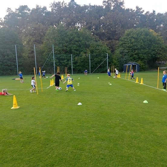 Eine Gruppe von Kindern spielt Fußball auf einem Feld, das von orangefarbenen Hütchen markiert ist. Sie tragen blaue und gelbe Trikots. Bäume sind im Hintergrund.