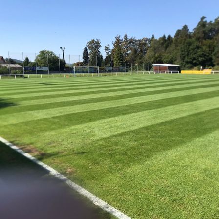 Ein leeres Fußballfeld mit grünem Rasen und weißen Markierungen, umgeben von Bäumen und einem Zaun mit einem kleinen Gebäude.
