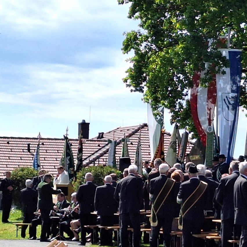 A gathering of people in suits and ties under a tree, with musical instruments and flags behind them. Some people are seated on benches while others stand in a line.