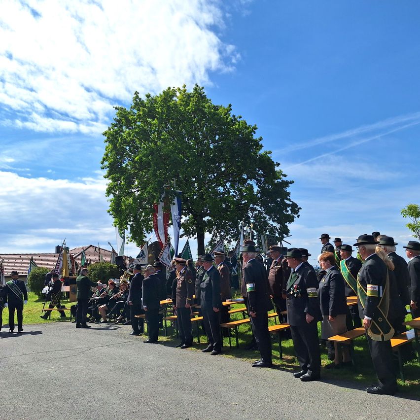 People in formal attire stand in line under a blue sky. Flags and a tree are behind them, with buildings in the distance.