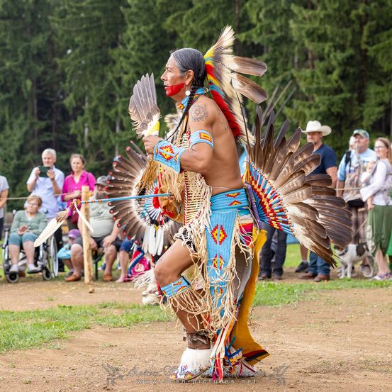 Ein indianischer Mann führt einen traditionellen Tanz in einem Feld auf, trägt einen farbenfrohen Federkopfschmuck und einen gefiederten Fächer. Hinter ihm stehen mehrere Zuschauer.